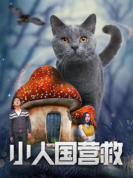 卡梅隆对此深感忧虑，他希望3D放映亮度在经过光线、3D眼镜的损耗影响后，最好能达到10福特朗伯（测量影像亮度的单位），才能保证理想的观影效果。