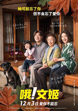 「AI影视创作班」帮你定位职业新可能 2025-11-27 针对不同圈层创作者设计课程，助力新人打通就业通道、资深者突破瓶颈、零基础爱好者发挥创意，通过提升个体能力激活全行业创作活力。