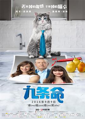 随后他承认,这一切都是为了 甜茶《无名小辈》曝终极预告 一首真正原创的民谣 2024-12-24 日前,由詹姆斯·曼高德(《金刚狼3》)执导,鲍勃·迪伦任执行制片人,“甜茶”提莫西·查拉梅、艾丽·范宁、波伊德·霍布鲁克、爱德华·诺顿等主演,鲍勃·迪伦传记片《无名小辈》(A Complete 《无名小辈》票房破4000万 创探照灯影业新纪录!