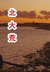 本·阿弗莱克×詹妮弗·洛佩兹离婚2024-08-21 头发一剃，谁也不爱！