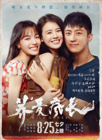 两人在旅途中互相治愈着彼此，一起分享欢笑泪水，撕开暗夜照亮深渊。